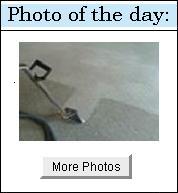 Carpet Cleaning Hinsdale il - Photo of the day - carpet steam cleaning